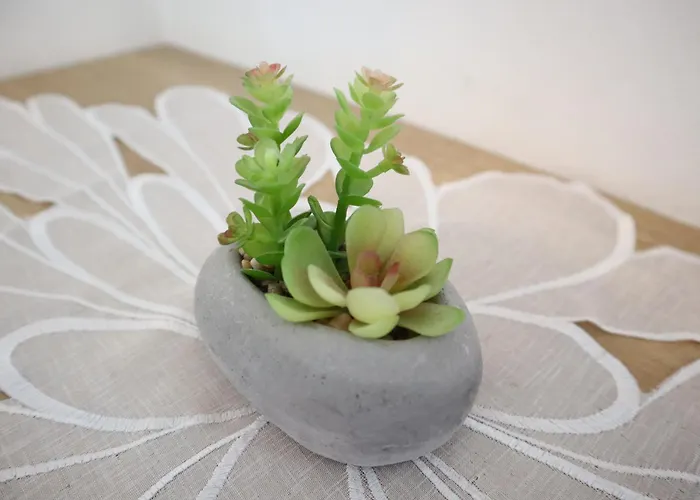 Jasmin * Шладминг